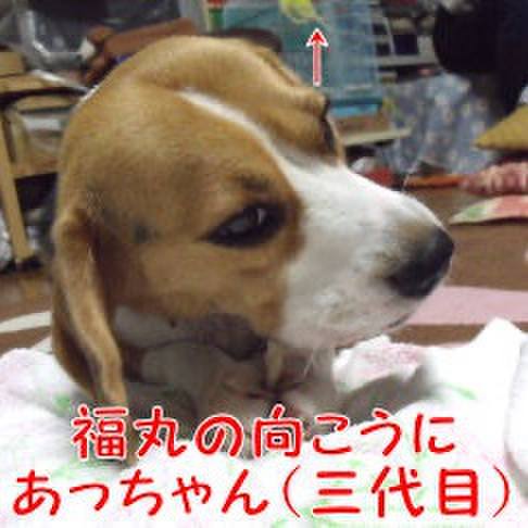 B8063fd5 df18 4cb5 8c06 595dcb4666b3 1714944033834