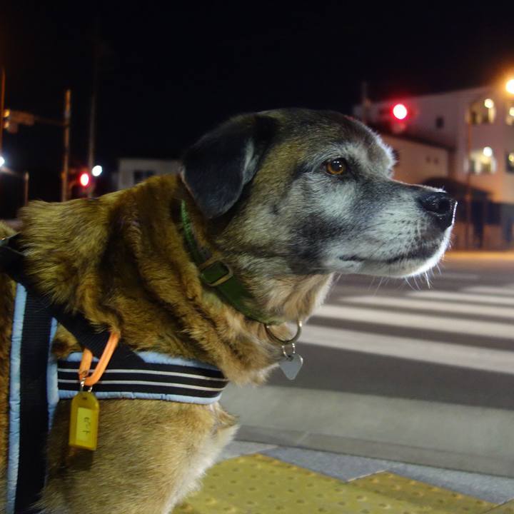 B8065297 9bcf 4f58 94bf 90dce4734637 1547819083856