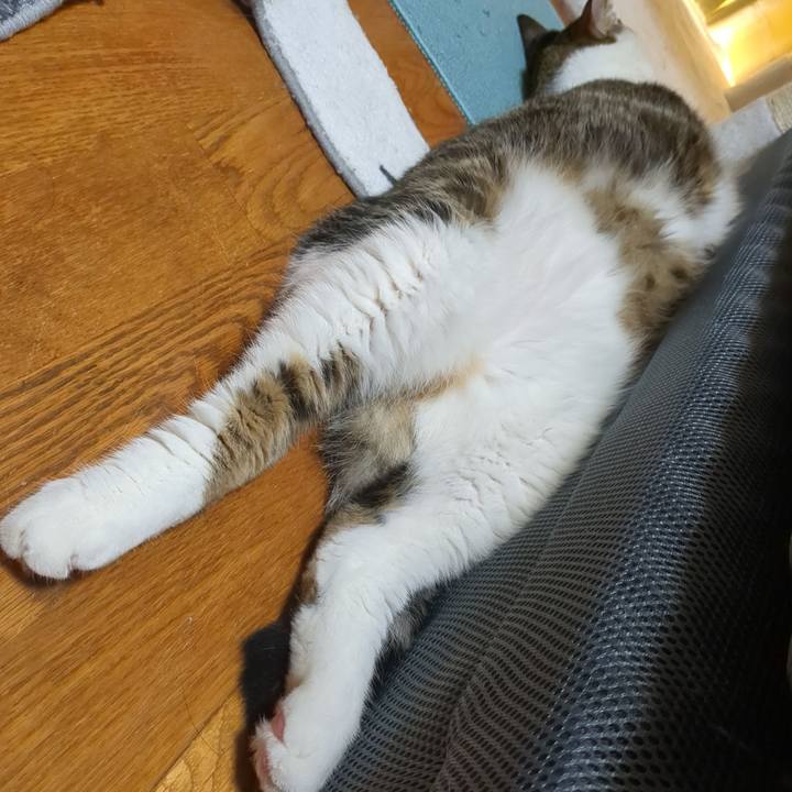 B8067d8a 2a7e 41bb 8b5c e0d21e9e462d 1695874348487