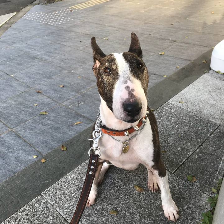 B806b440 6682 4237 995a 1bc7dd66c2db 1521285359471