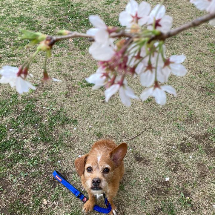 B806b8cc ab44 4149 a475 be771066eec3 1616755921742