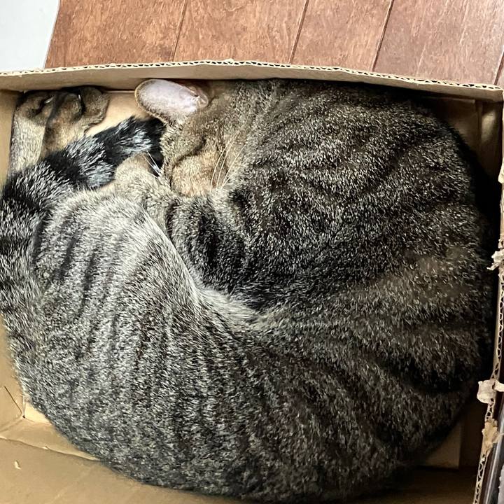 B806d18b 194c 43b2 8adb ffe1d1d73375 1760254727719