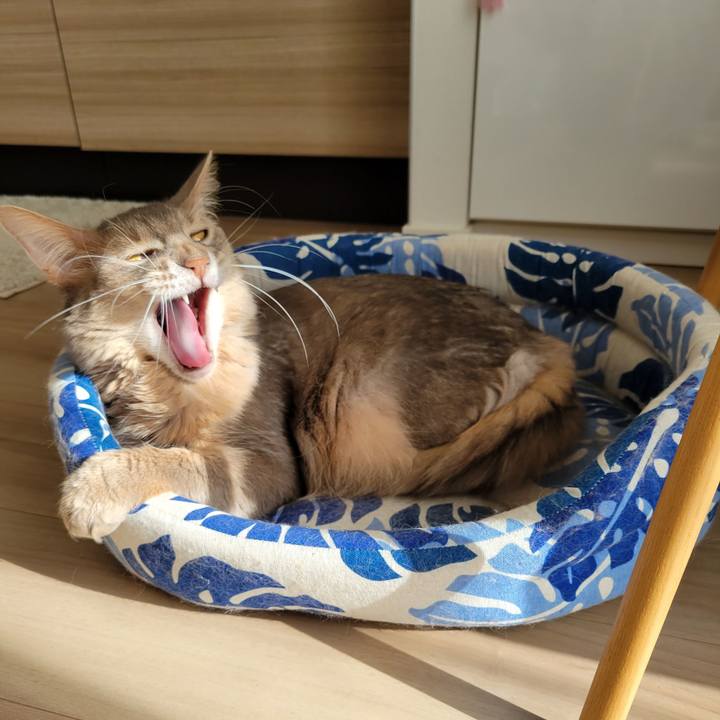 B806e59b ab6f 4dfe bba8 e1de9e43db95 1641784227196