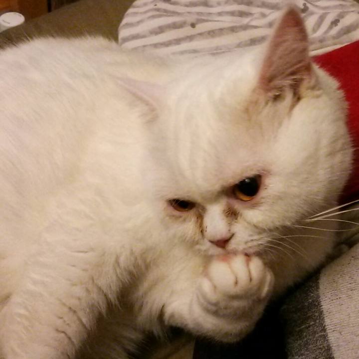 B80708b5 9b5a 4f9f 9e98 ce187a717973 1577105687407