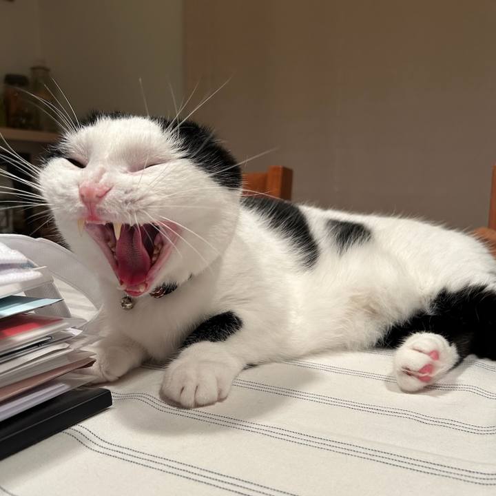 B8072603 6a75 46a6 b508 7734deb3ce60 1758842141696