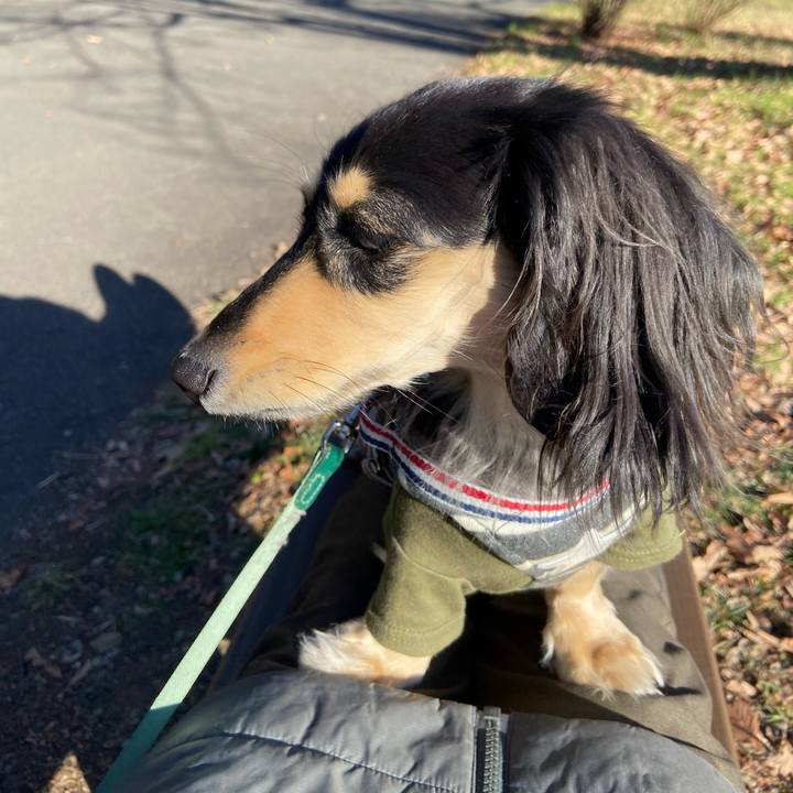 B80728e3 7ecc 4d60 a6b3 50564bbbed95 1739337455686