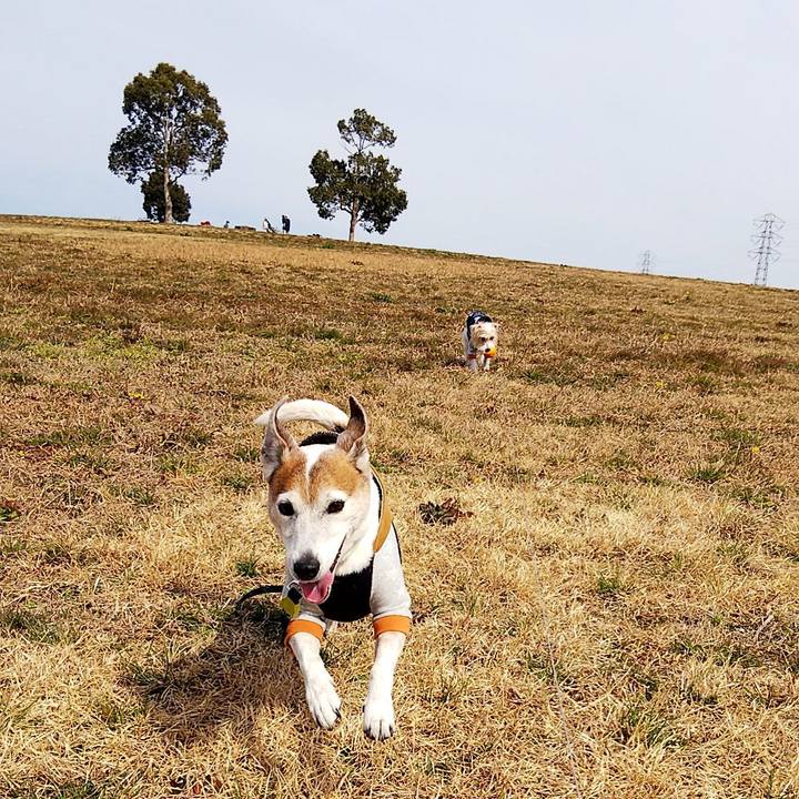 B8073332 45f3 43b6 a354 e726af134c7a 1550982094017