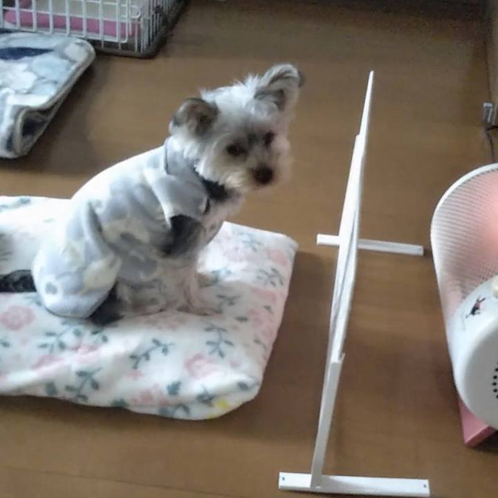 B8076bbe 07b8 43dd 84b9 4d3cd10fc73e 1544416727878