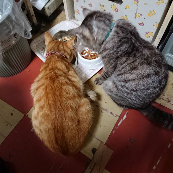 B807e4cf 59c6 4de8 bb20 979f4a8321d1 1562101522039