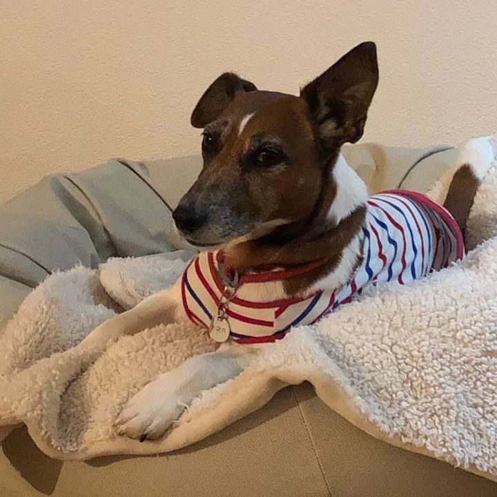 B807ff3e dfa3 41b0 967f 4610aa4d58ab 1604530164919