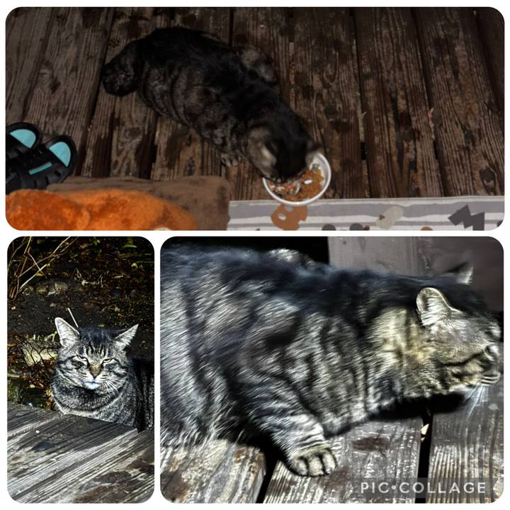 B8080ece f17e 4ac5 bb78 059e60d7cdd9 1772082947510