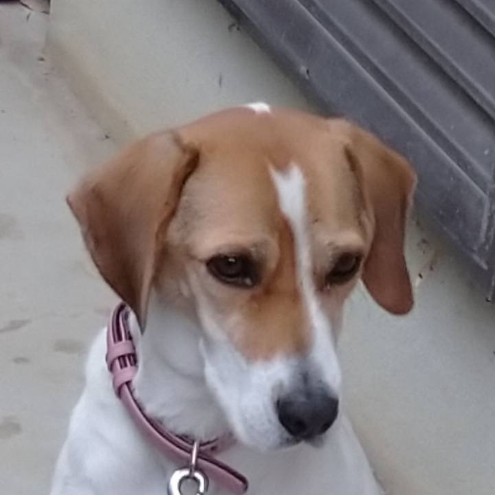 B808266b 5020 44df b017 24d5722baae6 1579053980665