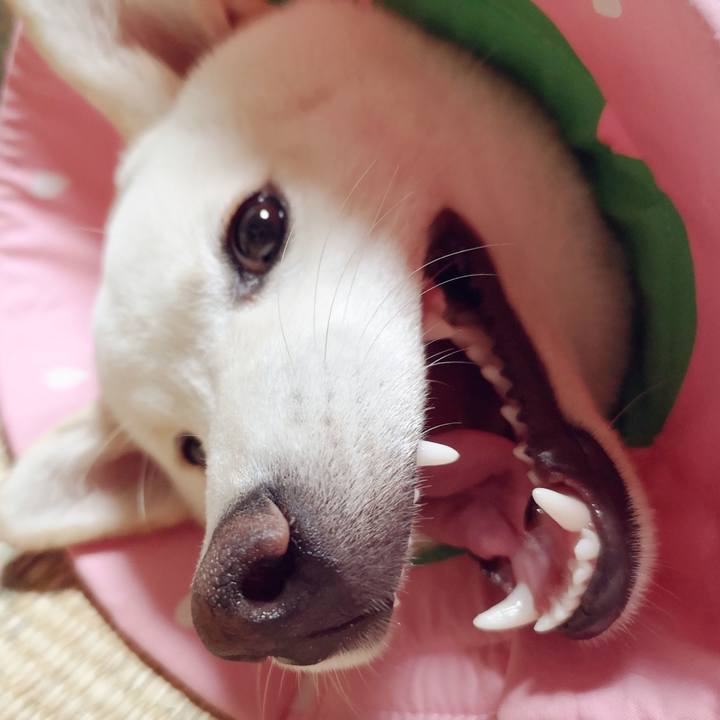 B8082d97 2b3f 4d06 bd8b 140d49c68f98 1628853327300