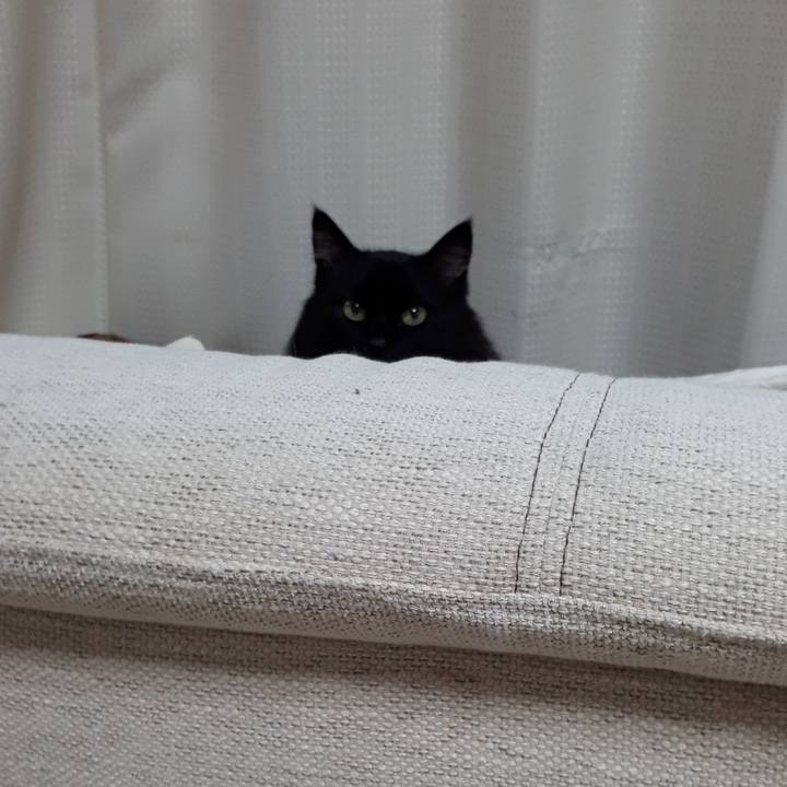 B8083388 8920 4136 97ad cd4444cc3190 1518382380100