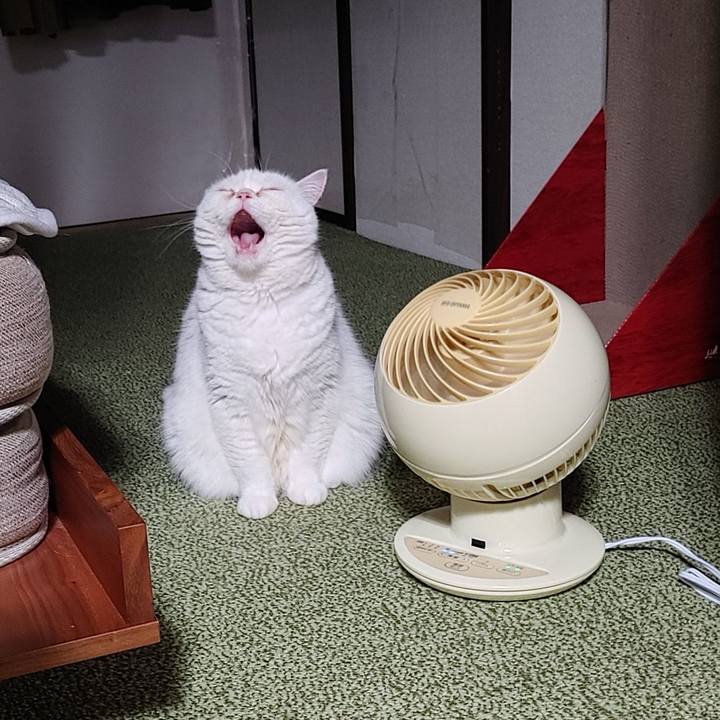 B80869c7 382d 40a4 95b4 4ffa4f1ecce6 1670674196504