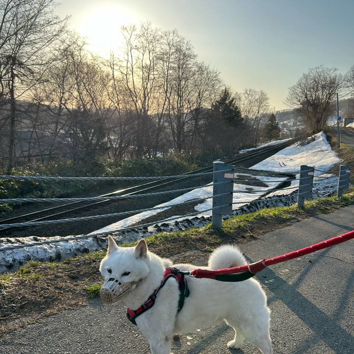 B8089499 977a 4f82 9c4e aa895fc451a5 1712786418171