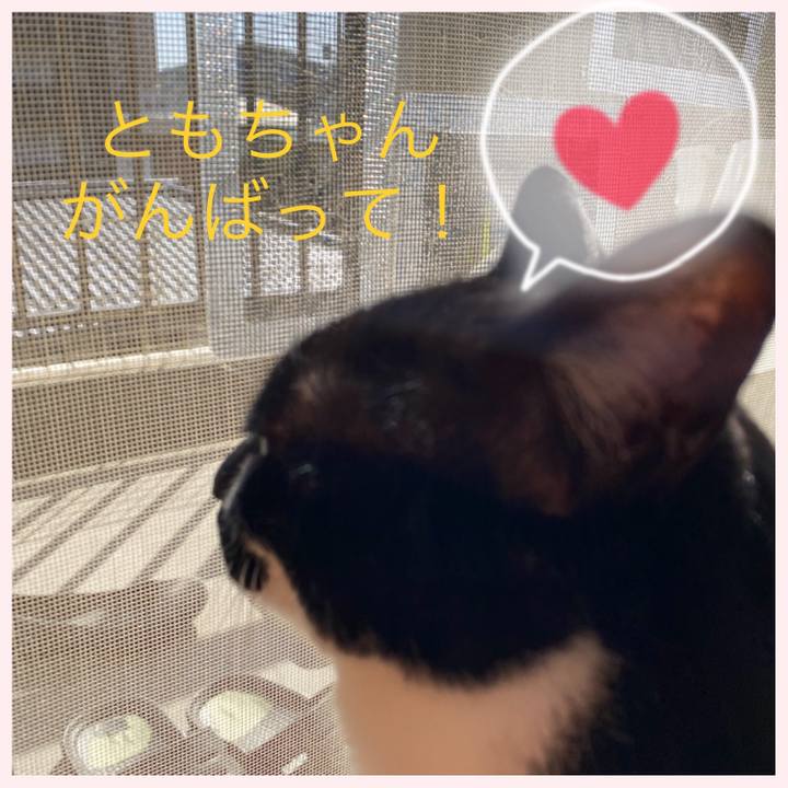 B8090fa0 231b 419c b276 8456f360b228 1618900766837