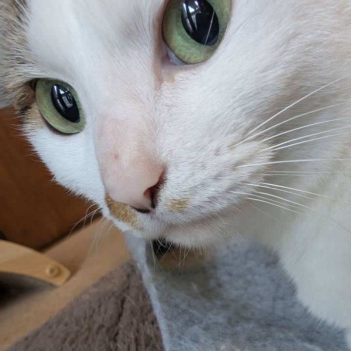 B8093032 79b4 4d02 93b3 3aa4f73e6732 1747464852656