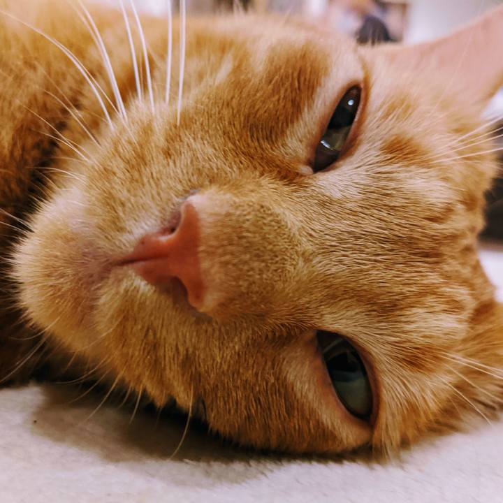 B80932e3 03c3 4263 8fb3 bdd8b7fcf3e9 1629117605263