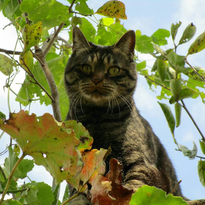 B80948f8 cc7f 49a7 a97c 3288f7e2aad9 1509025505729