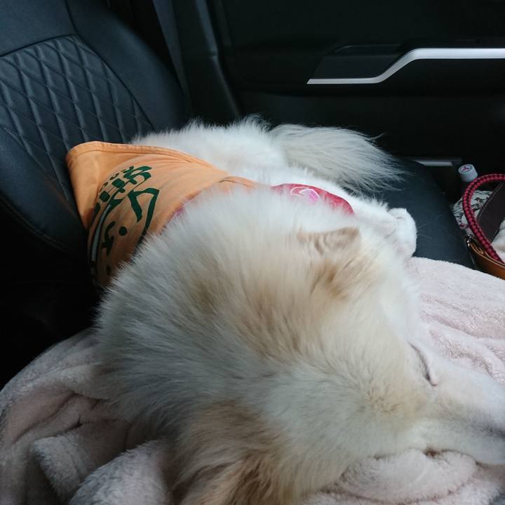 B8094a15 d9c0 4f55 9504 1bf5677d3760 1538773272083