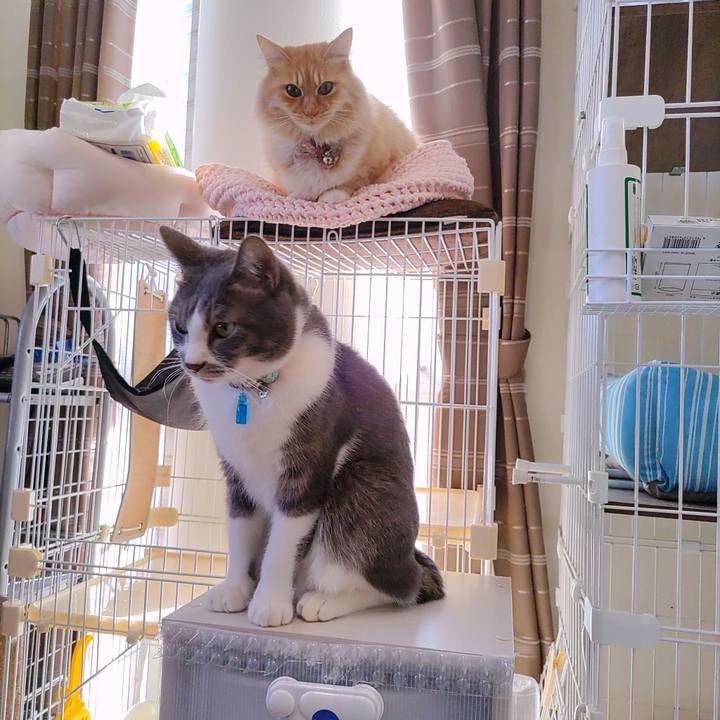 B80952ef b481 4c08 b55b f2e2f4138379 1670652713546