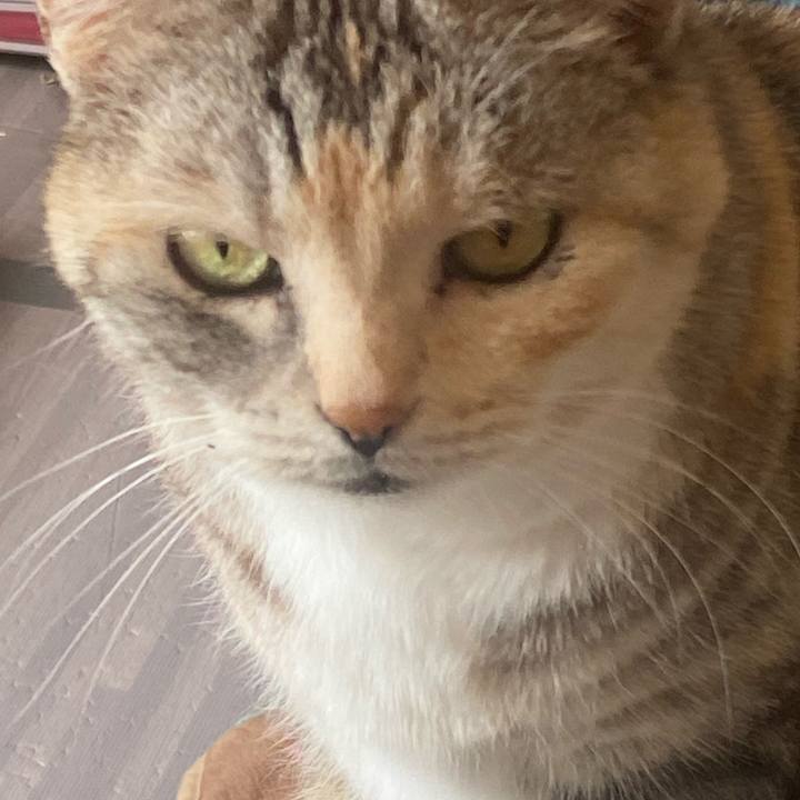 B809a7a5 c864 499d aa4f 1eedf9e59437 1649688942785