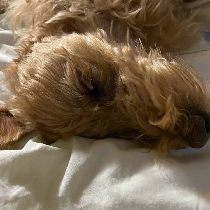 B809add2 4c30 44c7 adbb 153a213c5ca8 1653396079947