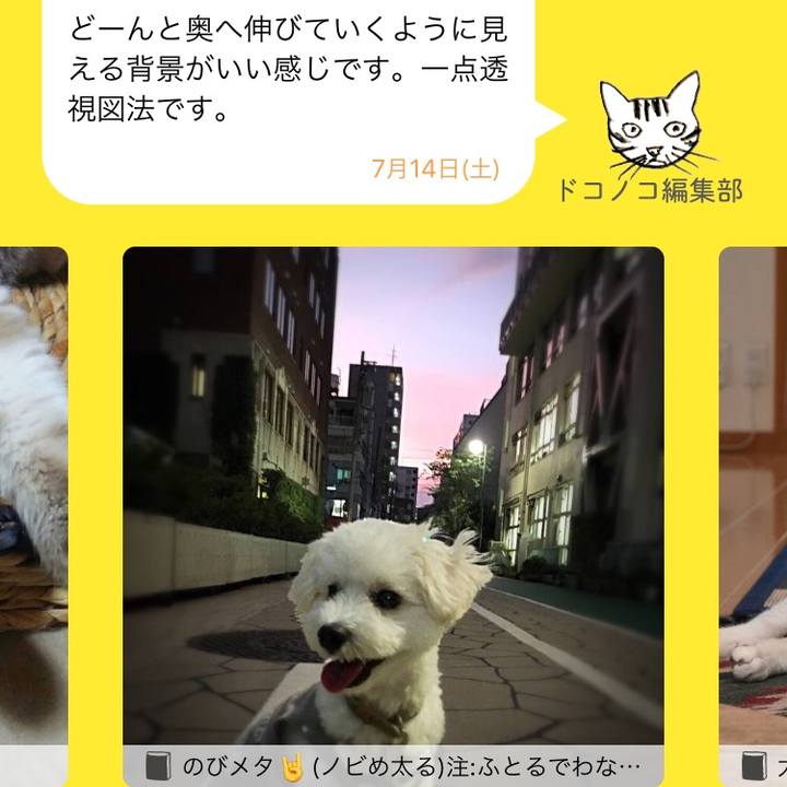 B809dfc9 71da 4c52 9d9c 0997c0b92679 1531561053021