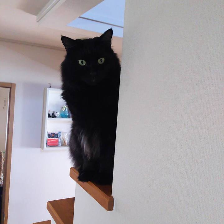 B809e5a4 770c 4f44 a5c0 c04d3a639ed9 1535860294319