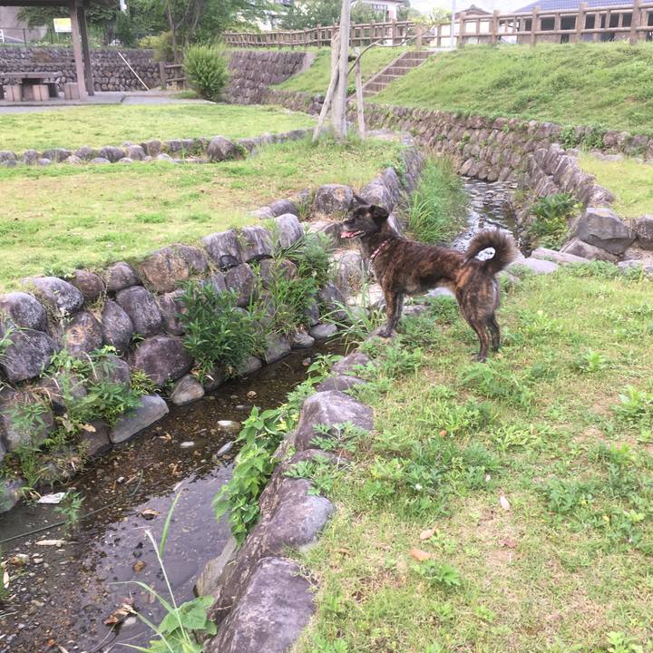 B80a6a3e eeca 48e3 8cfc f3677490de74 1528466281488