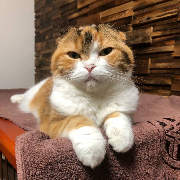 B80a73e1 1f7e 4e03 b8c1 89c41395da95 1621518809651