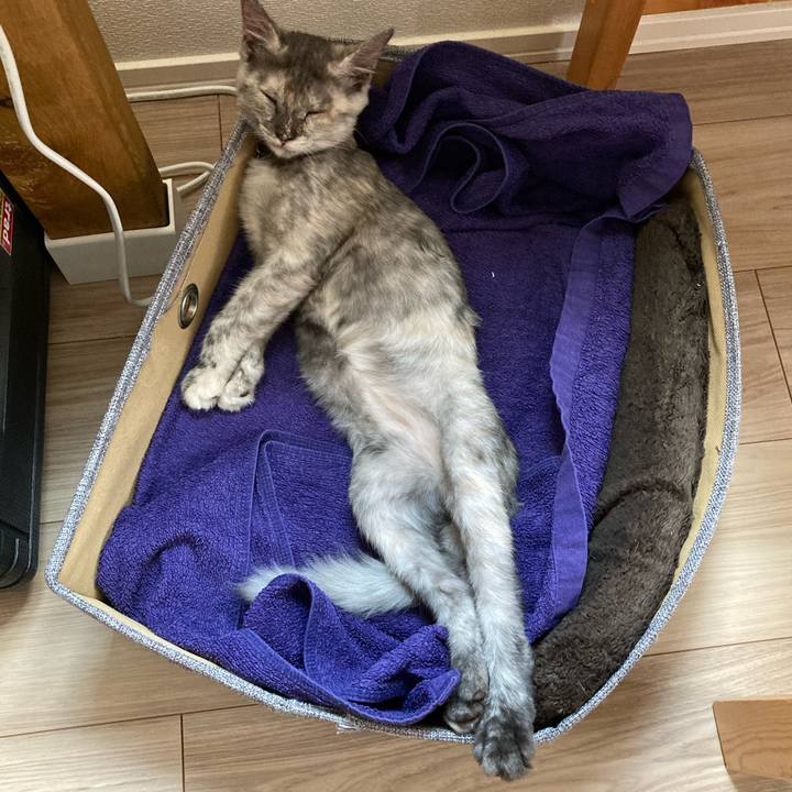 B80ab2e0 02b9 4e60 b1c3 854d98efc160 1694835945428