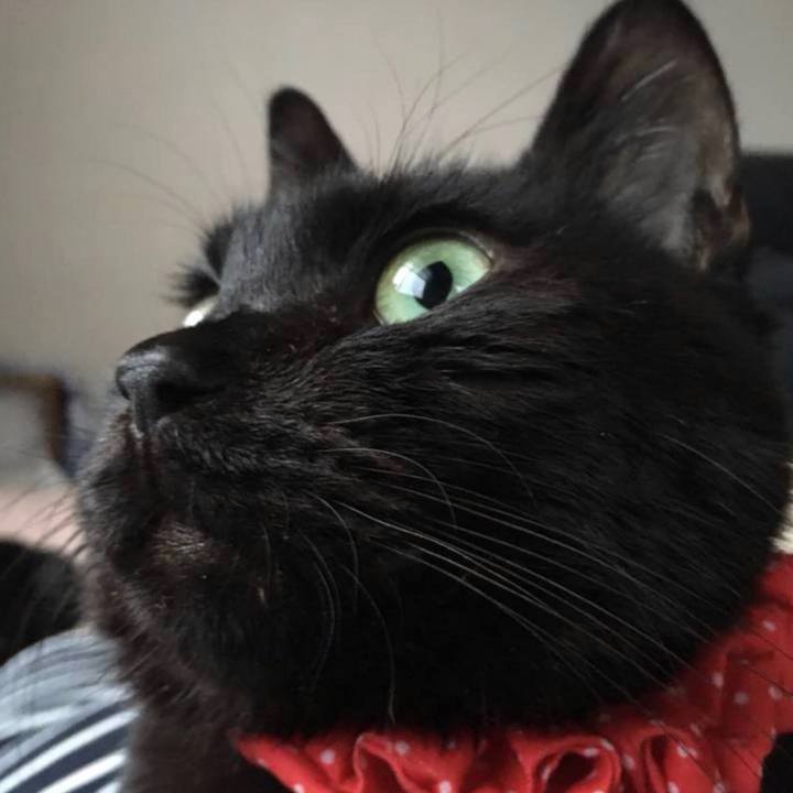 B80ac22f eb81 41be 9e86 9a1c41734fd1 1614992917495