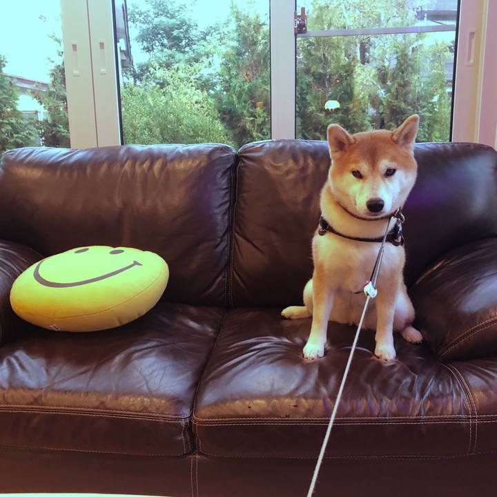 B80ad735 39ca 49fc a23e b25cdef2f4b3 1539830343976