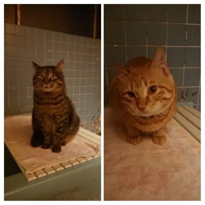 B80ae952 66c8 45d8 9748 4a63ddda8ce1 1643450388605