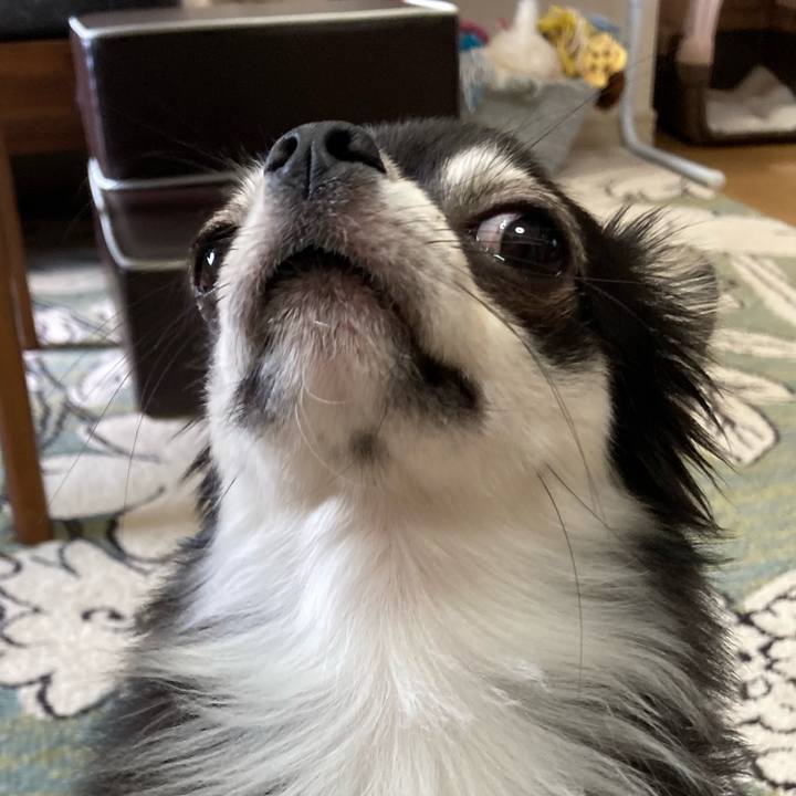 B80b0b41 2e8d 4576 96ff b8bd12ba76e7 1622381519851