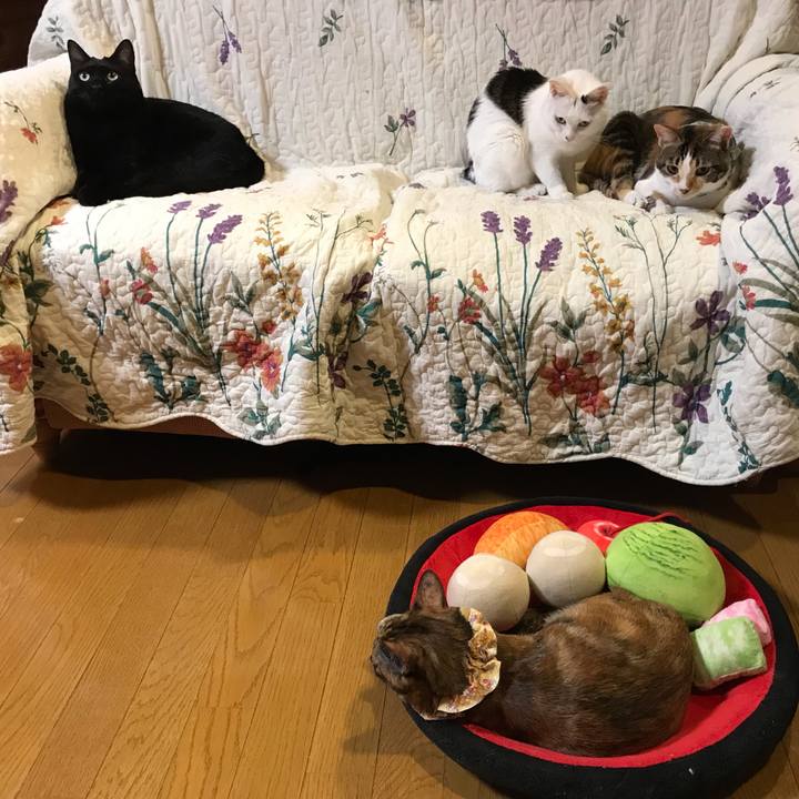 B80b5b73 2d61 4365 8f88 b542521fb59a 1648731162983