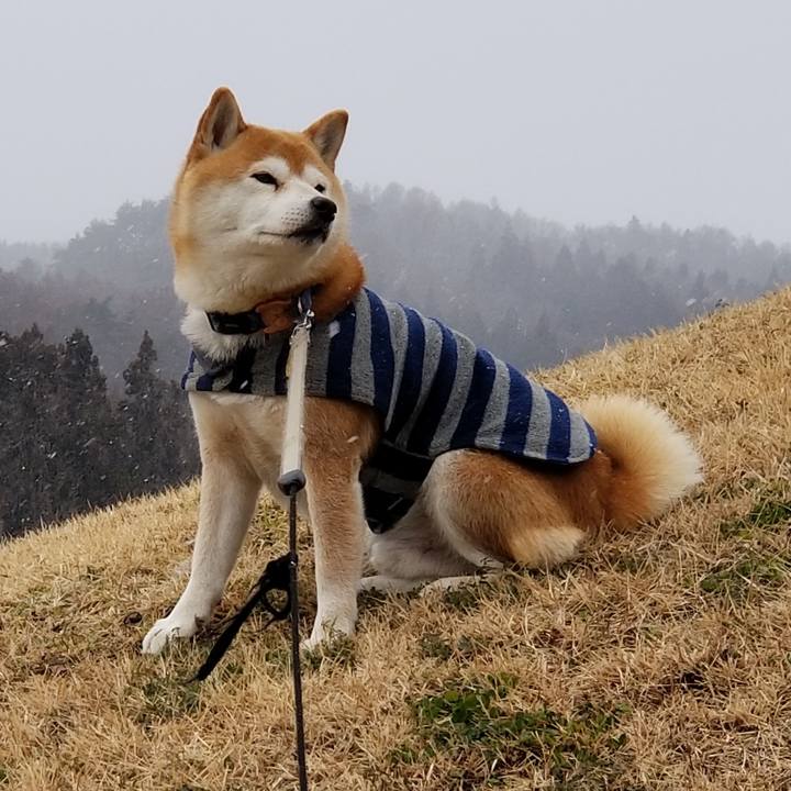 B80b6c18 6a7e 4625 9492 fbd9385e2331 1580879673374