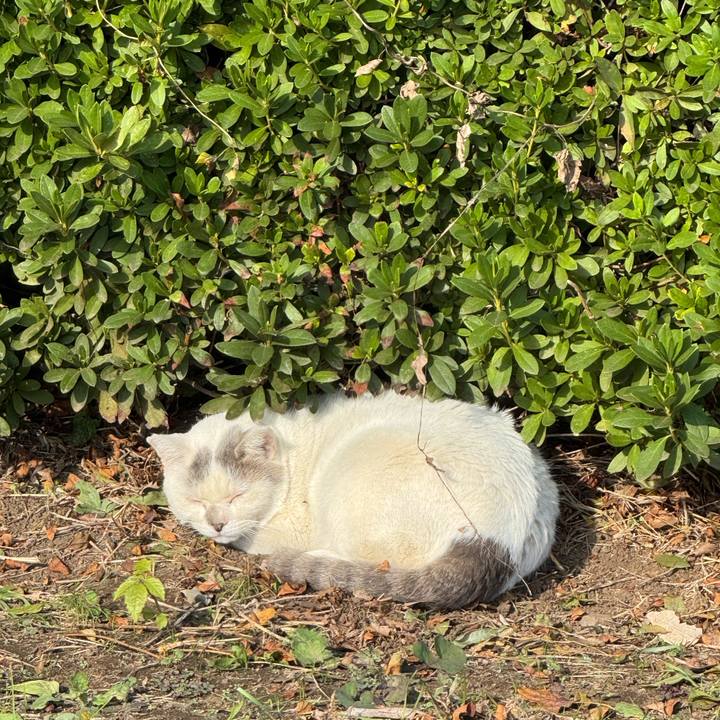 B80bb32c 628e 4b65 8ef2 3687d3c73896 1763518866015