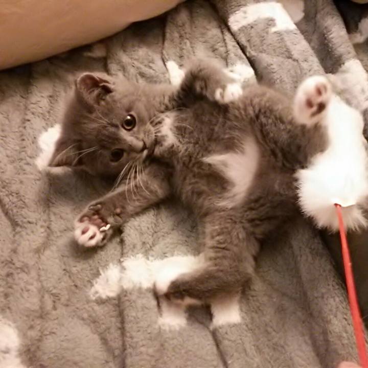 B80bd02f 800f 4af9 a1ed ca30bc0c6e08 1530564525752