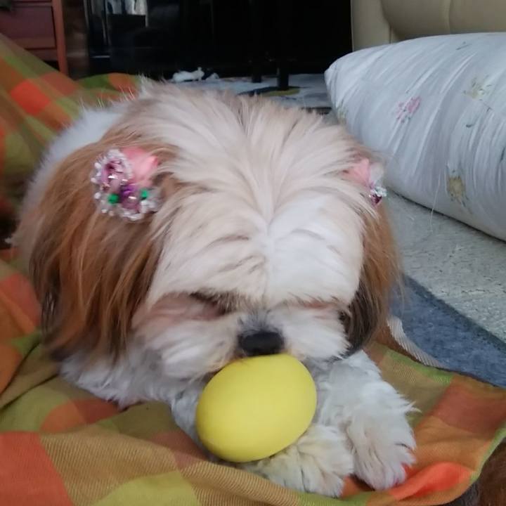 B80c5474 e102 4a3c b9aa d6aca078212f 1520927590217