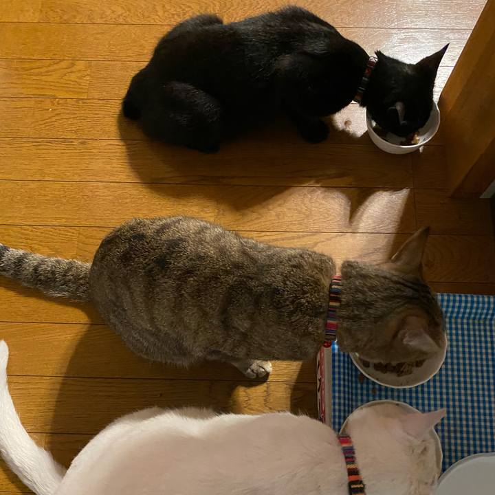 B80c59a0 624d 4aa1 b3be 591278f9f3c1 1623791543147