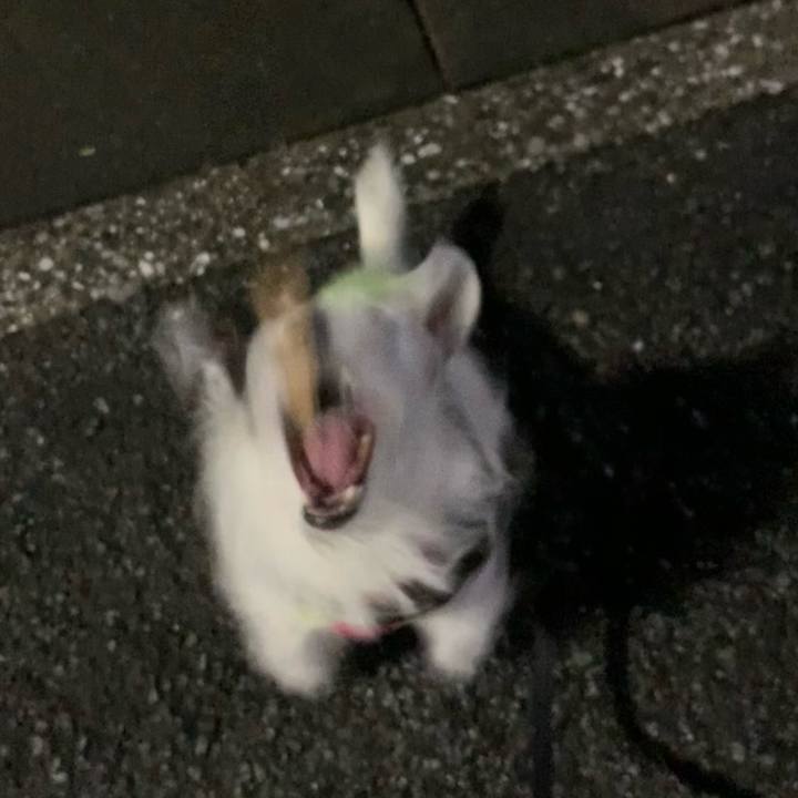 B80c5ad2 94e5 4bca 9686 365400622039 1665139192339