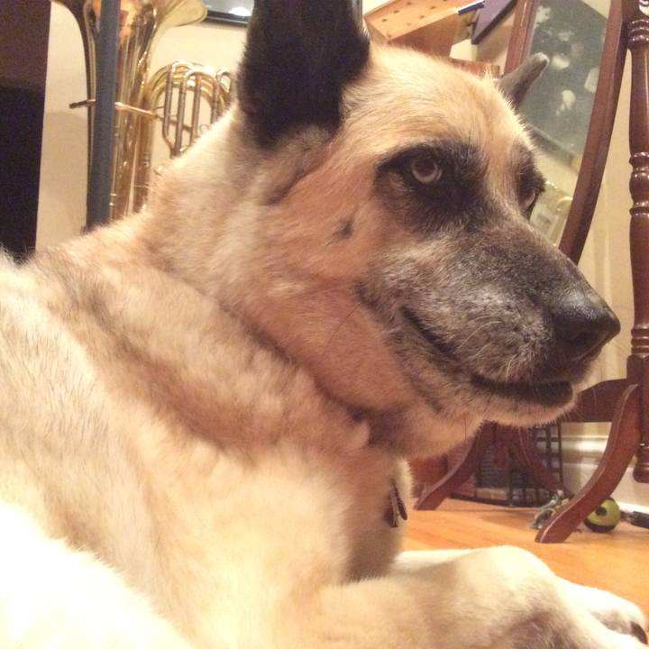 B80cacb1 26c5 40c2 9020 04919558fc33 1528866349255