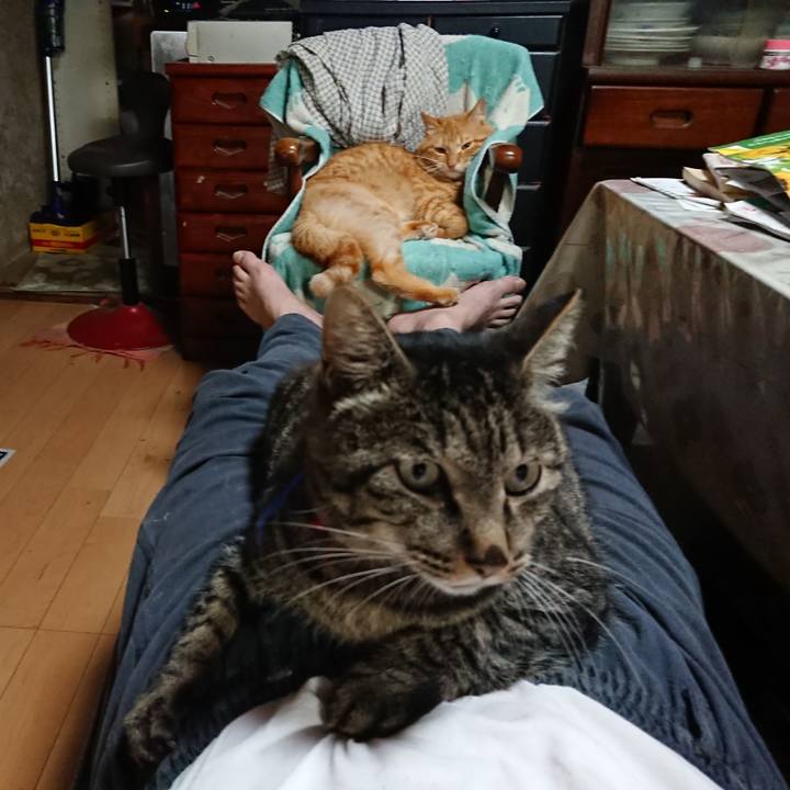 B80ccb5c dd29 417d bc3a ab2928429958 1658480629808