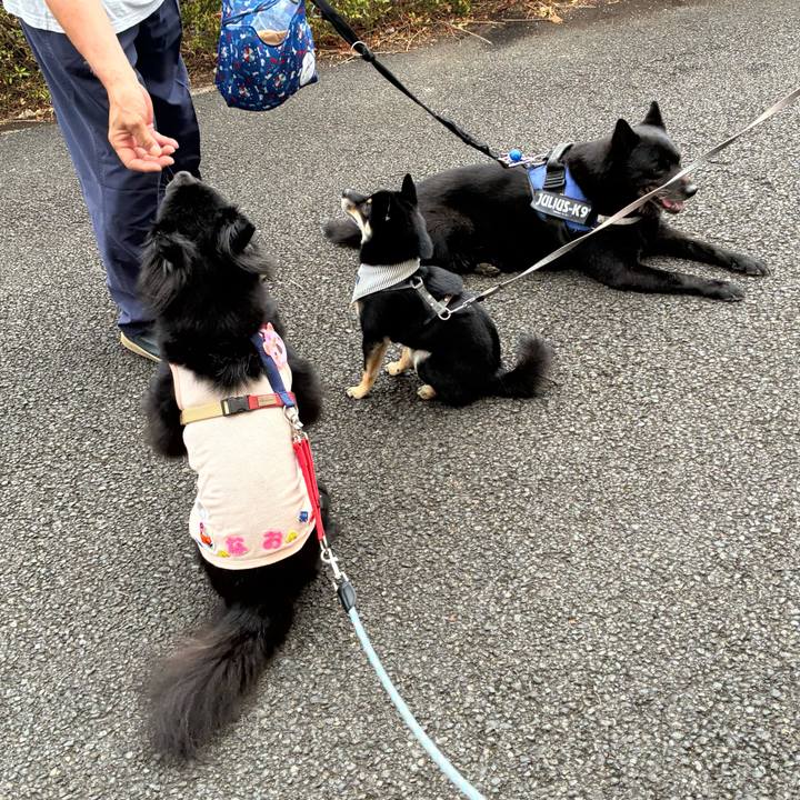 B80ccdf0 f9da 4c33 8c89 e85742483c35 1757375441300