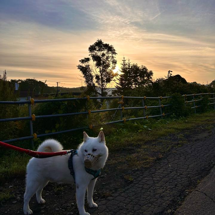 B80ccf54 6785 4553 8392 ca45a9a7ab14 1756933285631