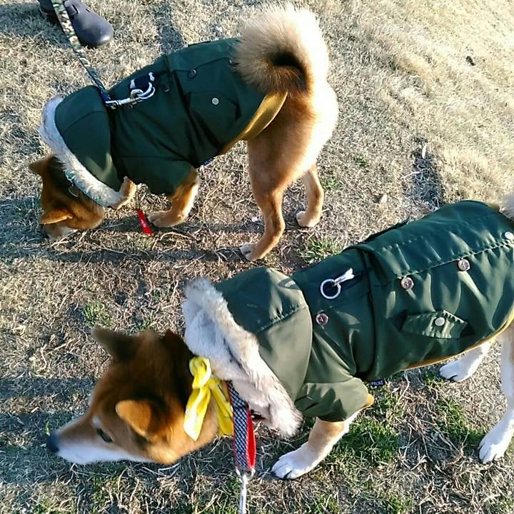 B80d5393 269a 4caa b25b 21204cef3cbd 1546068930632