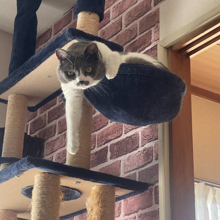 B80d6105 df83 476d 9aa6 924371394826 1697932408782